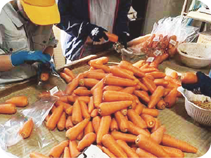 野菜の袋詰め（あゆみの会での作業風景写真）